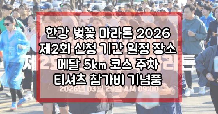 한강 벚꽃 마라톤