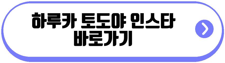 하루카 토도야