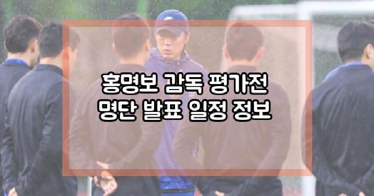 홍명보 감독 평가전