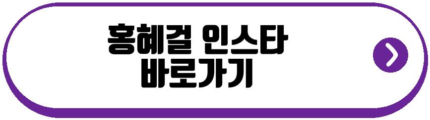 홍혜걸