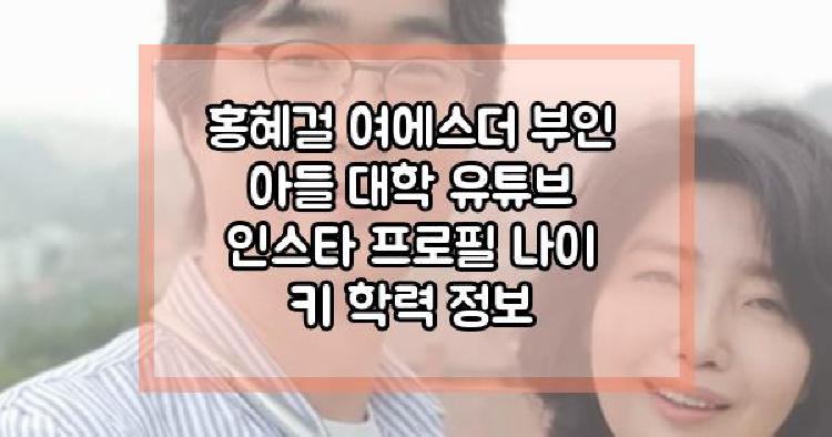 홍혜걸