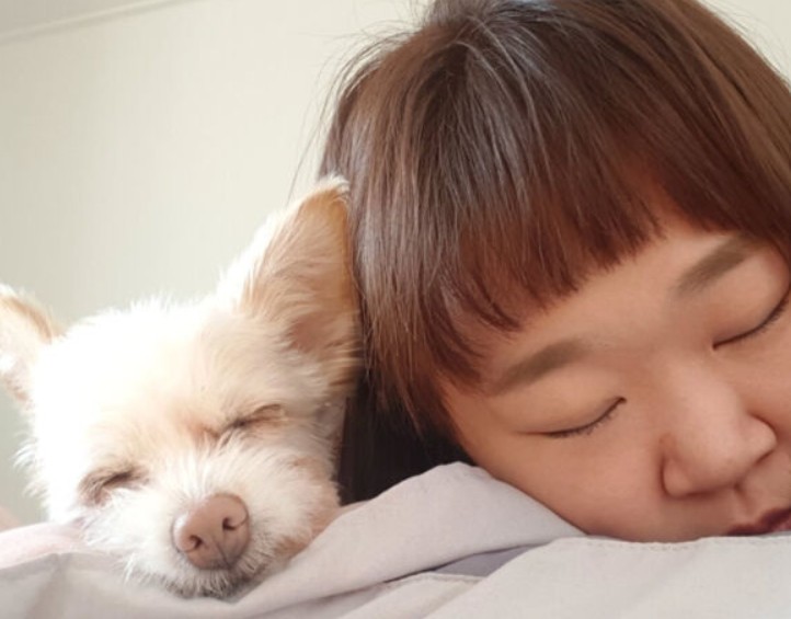 홍윤화 반려견 이별