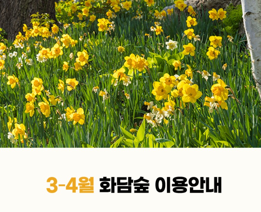 화담숲 예약