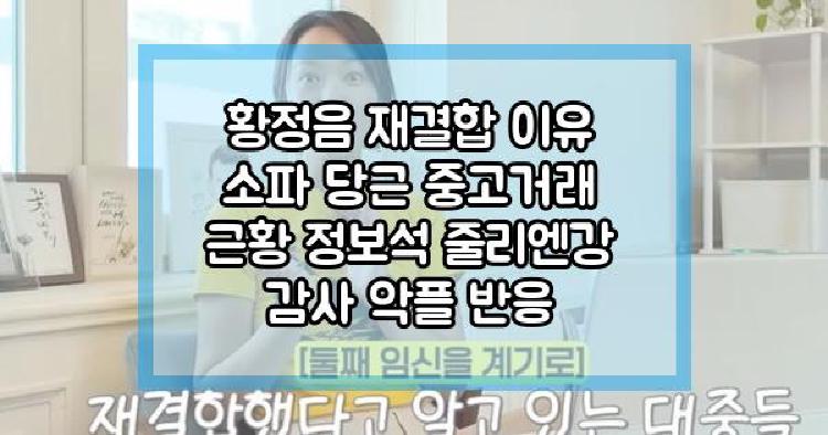 황정음 재결합