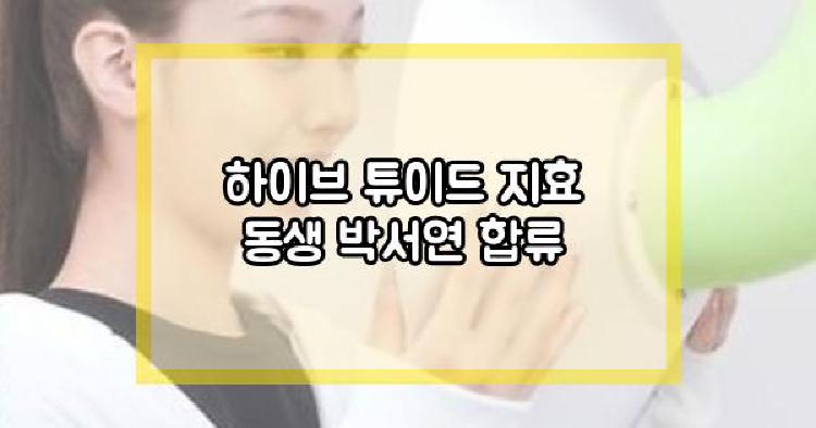하이브 튜이드