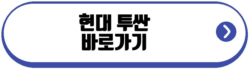 현대 투싼