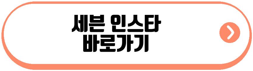 이다해 세븐 임신