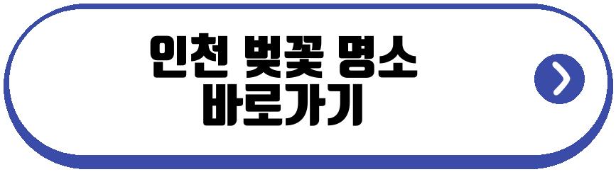 인천 벚꽃 명소