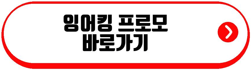 잉어킹 프로모