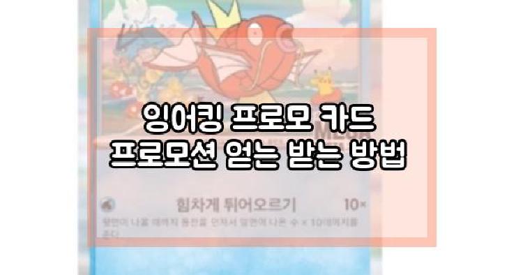 잉어킹 프로모