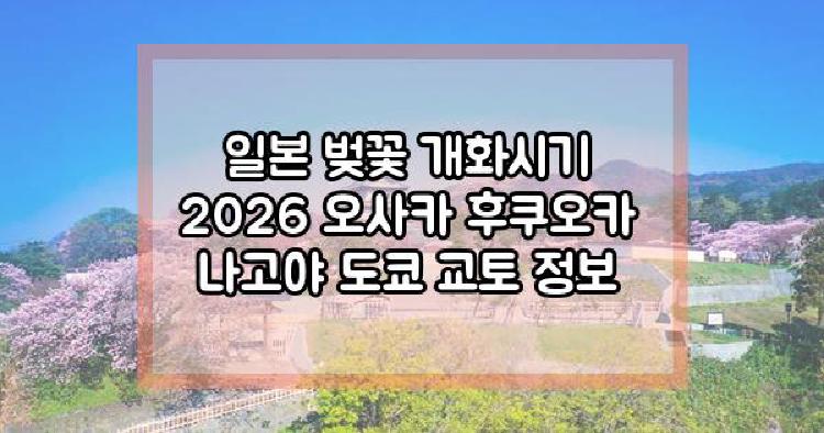 일본 벚꽃 개화시기