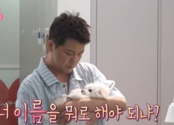 전현무 70일 된 강아지 입양