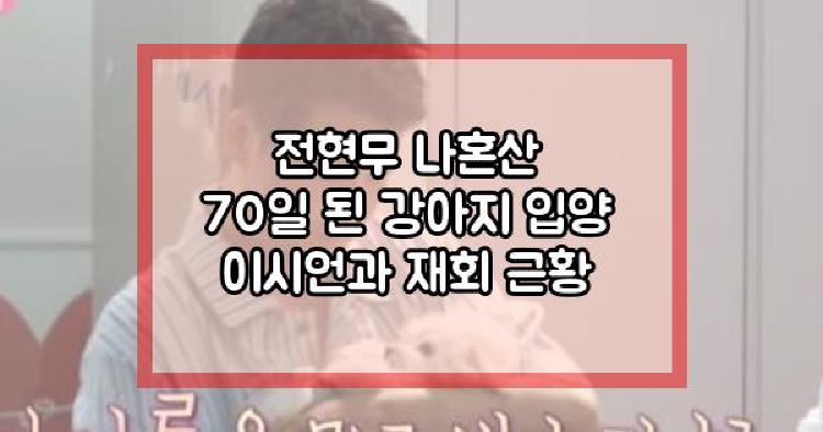 전현무 70일 된 강아지 입양