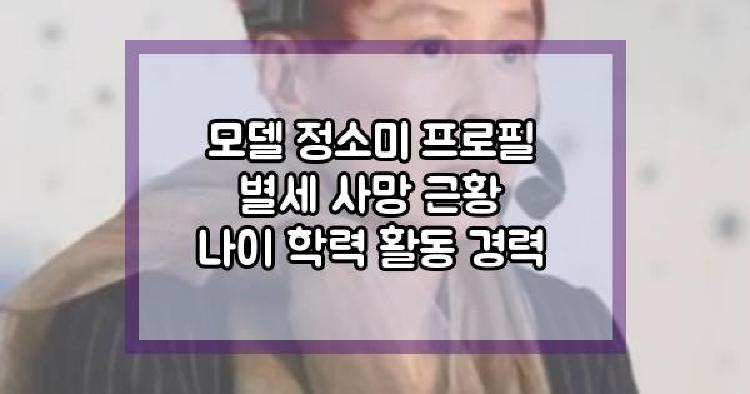 모델 정소미 별세
