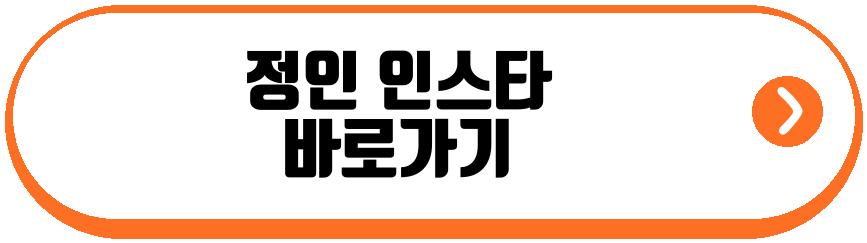 정인 히든싱어8 우승