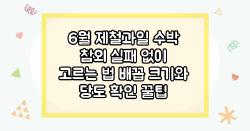 6월 제철과일 수박 참외 실패 없이 고르는 법 배꼽 크기와 당도 확인 꿀팁