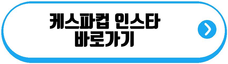 케스파컵