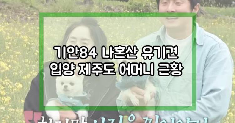 기안84 유기견