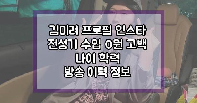 김미려 전성기 수입