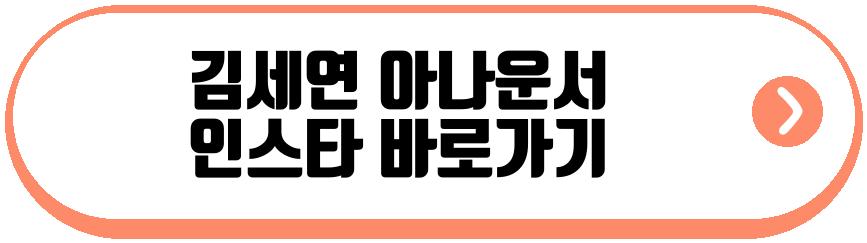 김세연 아나운서