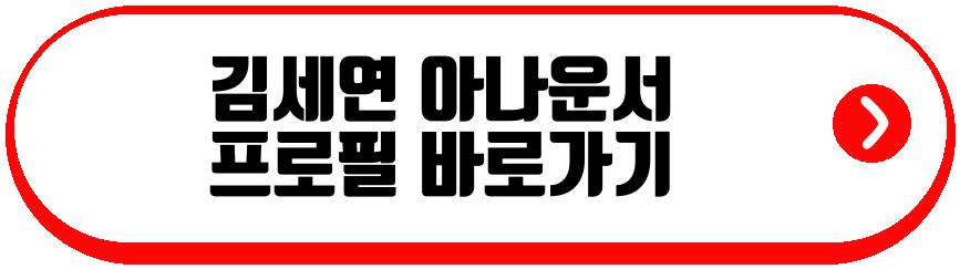 김세연 아나운서