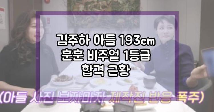 김주하 193cm 아들