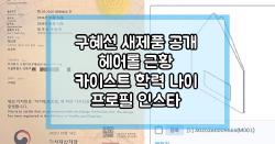 구혜선 새제품 공개 헤어롤 근황 카이스트 학력 나이 프로필 인스타