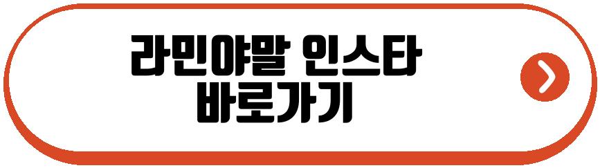 라민야말 동생