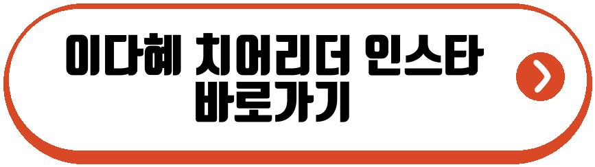 이다혜 치어리더