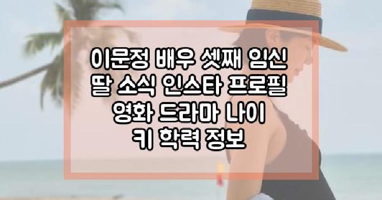 이문정 셋째 임신 딸 소식