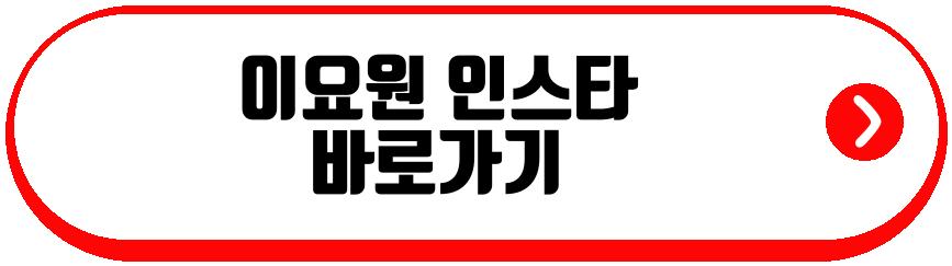 이요원