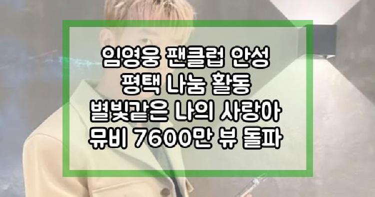 임영웅