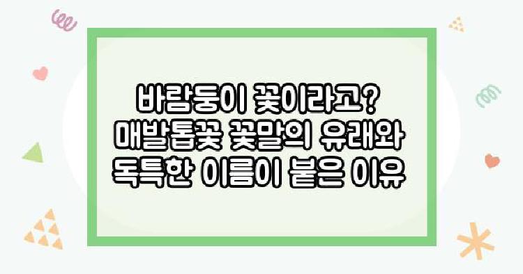 매발톱꽃 바람둥이