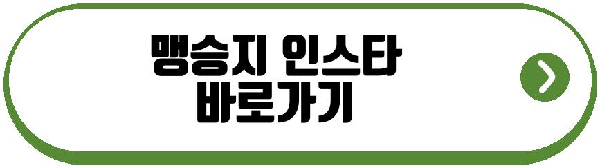 맹승지