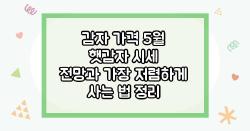 감자 가격 5월 햇감자 시세 전망과 가장 저렴하게 사는 법 정리