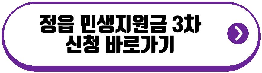 민생지원금 3차