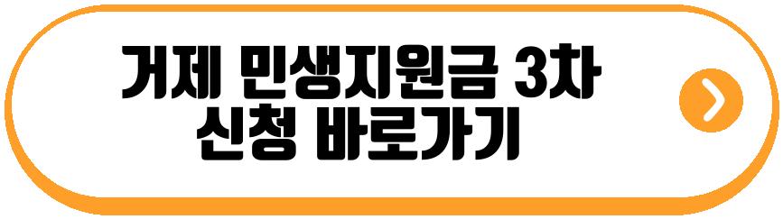 민생지원금 3차