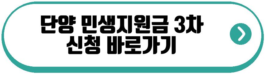 민생지원금 3차