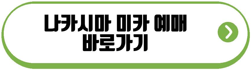 나카시마 미카 내한