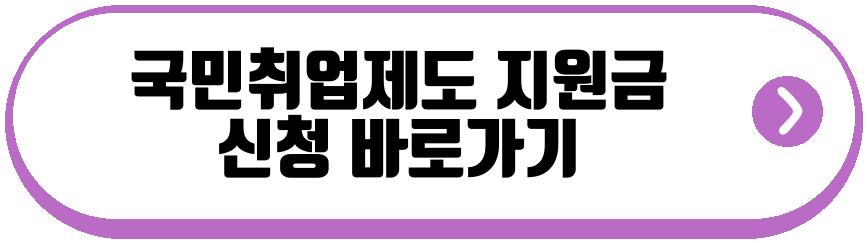 국민취업제도 지원금