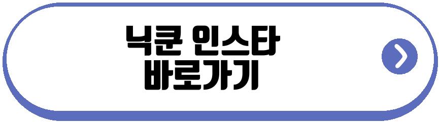 닉쿤 콘서트