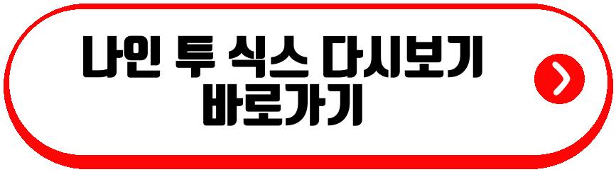 나인 투 식스