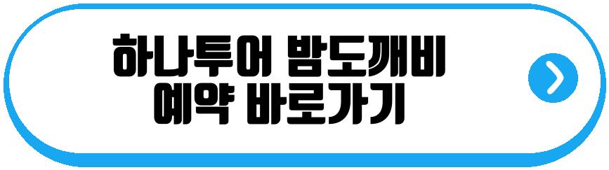 하나투어 밤도깨비