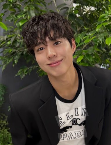 박보검