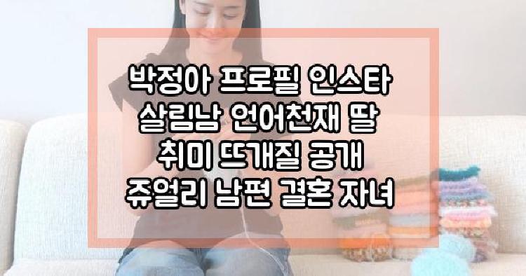 박정아 살림남