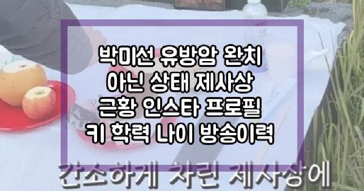 박미선 유방암