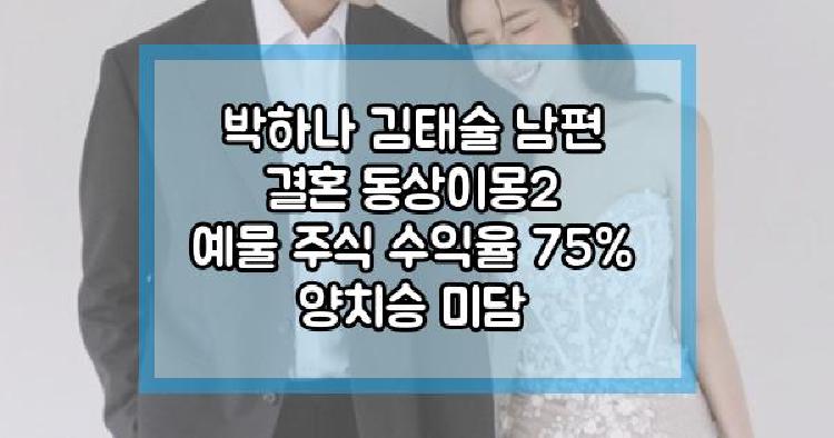 박하나 김태술