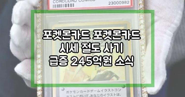 포켓몬카드
