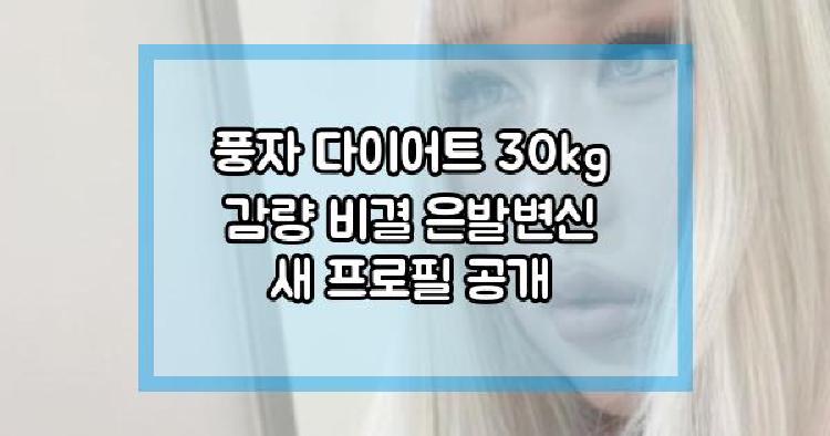 풍자