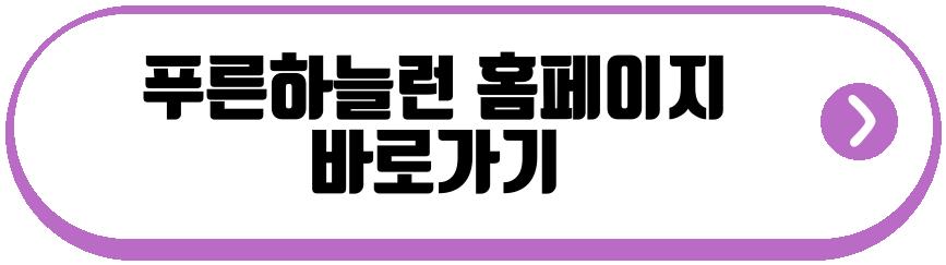 푸른하늘런